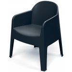 Prosperplast Židle s područkami MILANE 680x600x805 uhelná – Hledejceny.cz