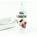 Chia Shake Carnitine 500 ml