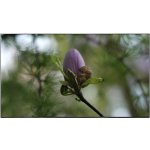 Samsung UD46E – Zbozi.Blesk.cz