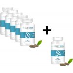 Healthy Way Quick Dren 6 x 60 kapslí – Hledejceny.cz