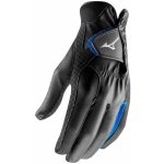 Mizuno RainFit Mens Golf Glove černá L 2019 – Zboží Dáma