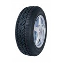 Gislaved Euro Frost 3 205/55 R16 91T