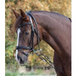 Waldhausen Vyvazovací otěže černé – Sleviste.cz