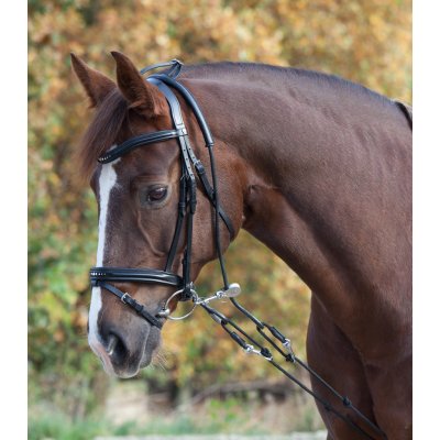 Waldhausen Vyvazovací otěže černé – Sleviste.cz