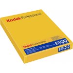 Kodak Ektachrome E100 8x10 10 Sheets – Zboží Mobilmania