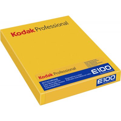 Kodak Ektachrome E100 8x10 10 Sheets – Zboží Mobilmania