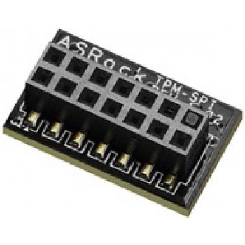 ASRock TPM-SPI