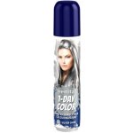 Venita 1 Day color spray Silver Shine 50 ml – Sleviste.cz
