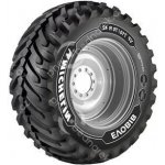 Michelin EVOBIB 600/70-30 165D/161E TL – Hledejceny.cz