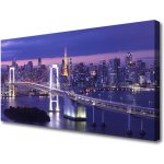 Obraz na plátně Most Město Architektura 100x50 cm – Sleviste.cz