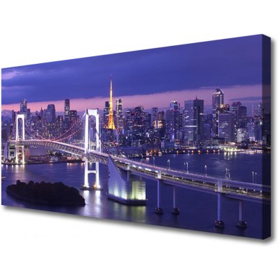 Obraz na plátně Most Město Architektura 100x50 cm – Sleviste.cz
