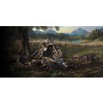 Days Gone – Zboží Dáma