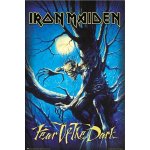 Plakát Iron Maiden: Fear Of The Dark (61 x 91,5 cm) – Zboží Mobilmania