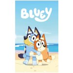 AYmax Dětská polar fleece deka Bluey a Bingo – Hledejceny.cz