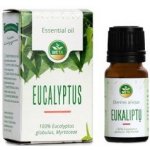 Meta esenciální olej Eukalyptus 10 ml – Hledejceny.cz