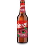 Litovel 11 Višňový ležák 4,1 % 0,5 l (sklo) – Sleviste.cz