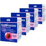 GS Echinacea Forte 600 4 × 90 tablet – Hledejceny.cz