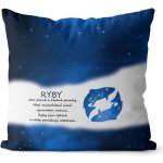 Impar Polštář Ryby 21.2. 20.3. modrý 40x40 – Hledejceny.cz
