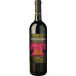 Fasoli Gino Valpolicella Ripasso Corte del Pozzo 2022 Červené 15% 0,75 l (holá láhev) – Hledejceny.cz