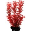 Akvarijní rostlina I--Z Tetra Myriophyllum heterophyllum - Red Foxtail 23 cm