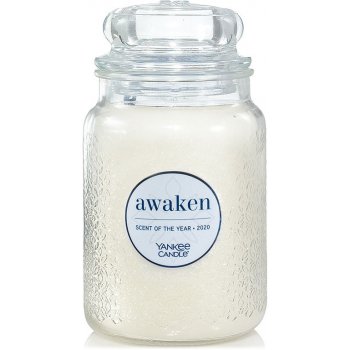 Yankee Candle Awaken 623 g