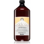 Davines NATURALTECH Purifying čistící šampon na mastné nebo suché lupy 1000 ml – Hledejceny.cz