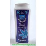Bione Cosmetics For Men sprchový gel 200 ml – Zboží Dáma