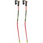 Leki WCR LITE GS 3D 2024/25 – Zboží Dáma