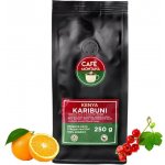 Café Montaña Kenya Karibuni zrnková 250 g – Hledejceny.cz