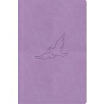Bible, překlad 21. století (lila) - kapesní – Hledejceny.cz