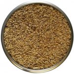 ZS Dynín Ječmen krmný zrno 25 kg – Zboží Dáma