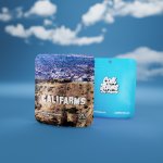 Califarms Purple strain 15,82 % CBD 0,64 % THC 1 g – Zboží Dáma