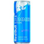 Red Bull Summer Edition Juneberry 250 ml – Zboží Mobilmania