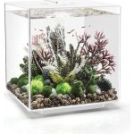 BiOrb Cube akvárium LED bílé 60 l – Zboží Dáma