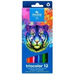 Koh i Noor 3132/12 trojhranné pastelky Triocolor tenké 12 barev tygr – Hledejceny.cz