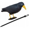 Lapač a odpuzovač Springos Plašič ptáků a holubů havran sedící se žlutým zobákem 39 cm černomodrý GA0131