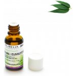 Purelia přírodní éterický olej eukalyptus 20 ml 1301-020 – Hledejceny.cz