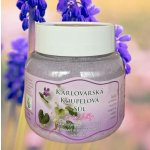Vřídlo Originální karlovarská koupelová sůl náhradní balení 300 g – Zboží Mobilmania