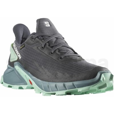 Salomon Alphacross 4 GTX W L47066800 ebony trellis yucca – Zbozi.Blesk.cz