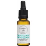 Les fleurs de Bach Motivace Motivation Bachovy květové BIO esence 20 ml – Hledejceny.cz