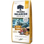 Velxara Balanced FM Dog Senior Monoprotein Turkey & Rice 12 kg – Zbozi.Blesk.cz