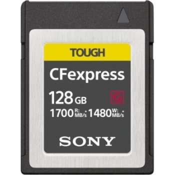 Sony 128 GB CEBG128