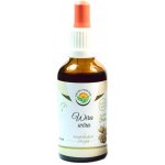 Salvia Paradise Wira Wira AF tinktura 50 ml – Hledejceny.cz