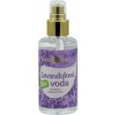 Purity Vision Levandulová voda 100 ml