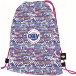 Karton P+P Oxy Aztek – Hledejceny.cz