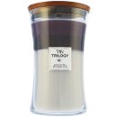 WoodWick Trilogy Amethyst Sky 275 g