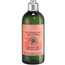 L´Occitane En Provence šampon na suché a poškozené vlasy Aromachologie Repairing Shampoo for Dry & Damaged Hair 300 ml