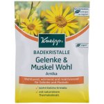 Kneipp Arnika sůl do koupele 60 g – Hledejceny.cz