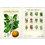 nástěnný, Vintage plakáty herbář 2026 – Hledejceny.cz