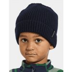 Didriksons Bus beanie 2 navy – Hledejceny.cz
